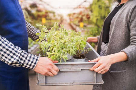 Male gardener helping customer to choose right flowers and seedlings for her garden. Offering wide range of plants during spring gardening season.