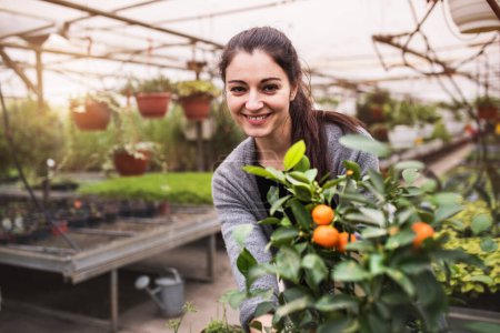 Téléchargez les photos : Jardinier femelle inspectant la mandarine, regardant une petite plante souriante. Petite entreprise de serre. - en image libre de droit