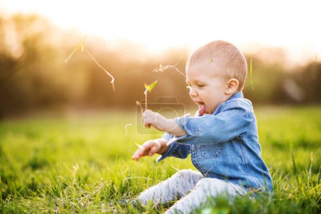 Niedliches Kleinkind spielt im Gras. Baby auf Familienwanderung in frühlingshafter Natur. Glücklicher Familienmoment für neue Eltern. Porträt.