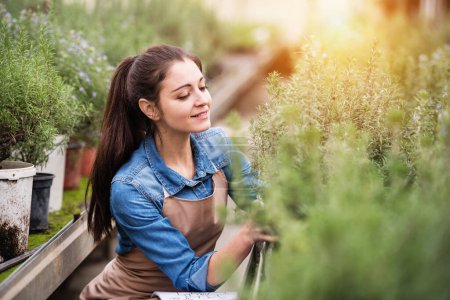 Photo for Small greenhouse business. Female gardener inspecting flowers and seedlings, standing in the middle of plants, crop. Offering wide range of plants during spring gardening season. - Royalty Free Image