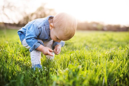 Foto de Lindo niño jugando en la hierba. Bebé en familia caminar k en la naturaleza de primavera. Feliz momento familiar para los nuevos padres. Retrato. - Imagen libre de derechos