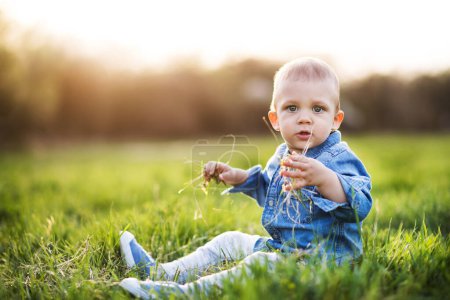 Niedliches Kleinkind spielt im Gras. Baby auf Familienwanderung in frühlingshafter Natur. Glücklicher Familienmoment für neue Eltern. Porträt.