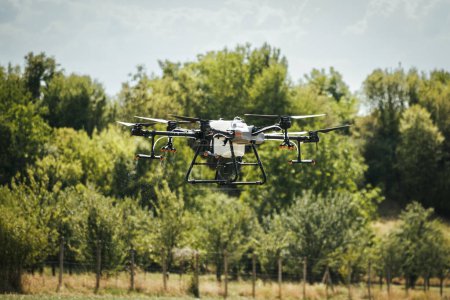 Foto de Los drones agrícolas pulverizan cultivos, distribuyen pesticidas, herbicidas y fertilizantes de manera eficiente y precisa. Vista aérea de un dron que se modera en los campos agrícolas, tecnologías en la agricultura moderna. - Imagen libre de derechos