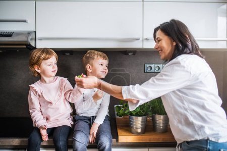 Grandma takes care of the grandchildren while their parents are at work, spending time in kitchen, cooking together and having fun.Concept of caregiving by grandparents.