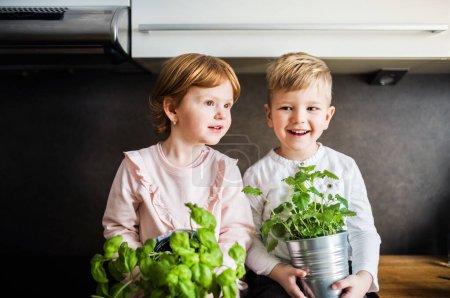 Little boy and cute girl sitting on kitchen counter, holding fresh herbs in pots.
