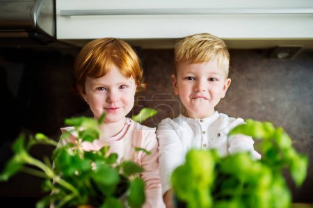 Little boy and cute girl sitting on kitchen counter, holding fresh herbs in pots.