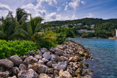 Téléchargez les photos : Plongez dans la beauté brute du littoral accidenté de la Jamaïque avec cette photo captivante. La juxtaposition d'affleurements rocheux et d'arbres verts sereins crée une scène de sérénité tranquille, évoquant l'essence des Caraïbes. - en image libre de droit