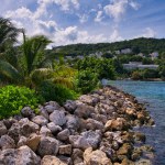 Immerse yourself in the raw beauty of Jamaica's rugged coastline with this captivating photograph. The juxtaposition of rocky outcrops and serene green trees creates a scene of tranquil serenity, evoking the essence of the Caribbean.