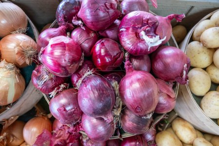 Indulge in the essence of farm-fresh goodness with our just-harvested red onions. Straight from the fields to your kitchen, these vibrant bulbs are bursting with flavor and nutritional value. 