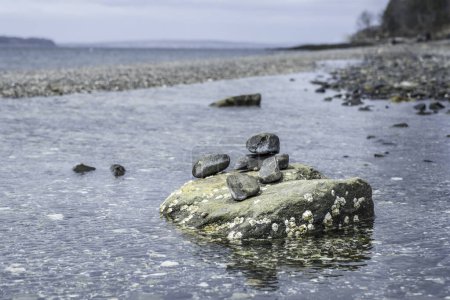 Téléchargez les photos : "Marine Symphony : Exploring the World of Rocks and Barnacles "est un voyage captivant à travers les zones intertidales, à la découverte des merveilles géologiques et des interactions écologiques qui façonnent ces habitats côtiers.. - en image libre de droit