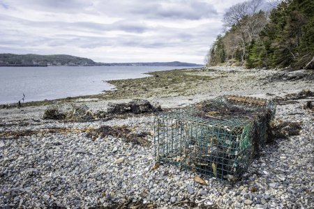 Explore the enchanting allure of coastal abandonment in this captivating photograph capturing the remnants of crabbing pots left to weather the elements on a secluded beach.