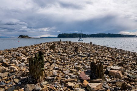 Photo for Remnants of the wooden support pillars from Nanaimos historic coal mining wharves at Departure Bay, Vancouver Island, BC, Canada. - Royalty Free Image