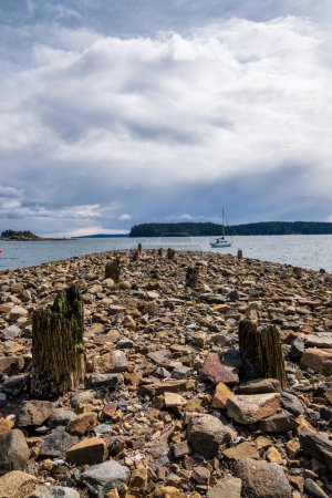 Téléchargez les photos : Restes des piliers de soutien en bois des quais historiques d'extraction de charbon de Nanaimos à Departure Bay, île de Vancouver, C.-B., Canada. - en image libre de droit