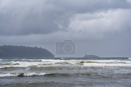 De grandes vagues de mer agitée se jettent sur le rivage de l'île de Vancouver pendant une tempête printanière précoce.