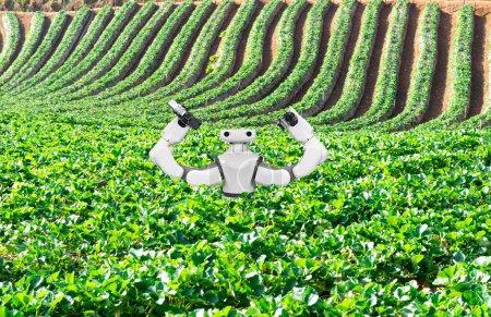 Téléchargez les photos : Intelligence artificielle le concept d'utilisation de robots en agriculture - en image libre de droit