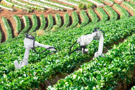 Téléchargez les photos : Intelligence artificielle le concept d'utilisation de robots en agriculture - en image libre de droit