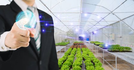 Concept of caring for vegetable farms with technology
