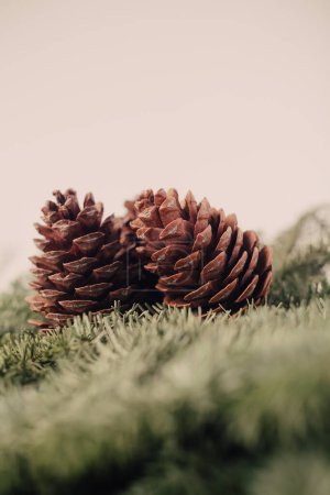 Photo for Christmas background with pine cones, selective focus - Royalty Free Image