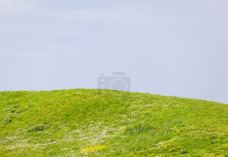 Téléchargez les photos : Un champ vert avec un ciel bleu - en image libre de droit