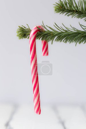 Photo for Christmas tree decoration on table - Royalty Free Image
