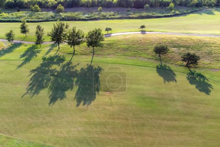Foto de Vista aérea superior de hermoso parque, zona verde. Birds eye and drone photography of summer park (en inglés). Paisaje natural, prados verdes en el campo en un día soleado. - Imagen libre de derechos