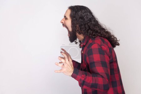 Photo for Side view portrait of bearded man with long curly hair in checkered red shirt screaming with hate and aggression, arguing with friend. Indoor studio shot isolated on gray background. - Royalty Free Image
