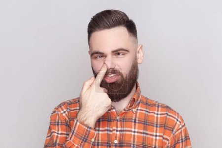 Mischievous bearded man putting finger into his nose and showing tongue, fooling around, bad habits, disrespectful behavior, wearing checkered shirt. Indoor studio shot isolated on gray background.