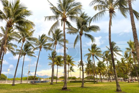 Téléchargez les photos : Miami, Floride - 25 août 2023 : Vue du parc plein de palmiers devant la plage de Miami. - en image libre de droit