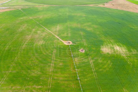 Foto de Vista aérea desde el avión no tripulado volando sobre el campo de cultivo verde cultivo crecimiento con aspersores de riego pivote. - Imagen libre de derechos