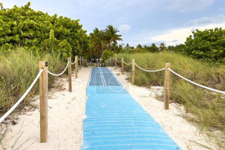 Photo for Miami, Florida - August 25th, 2023: An access mat leads the way to the beach entrance. - Royalty Free Image