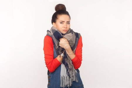 Photo for Portrait of attractive beautiful sick shivering woman with hair bun standing wrapped in scarf, feeling cold, wearing denim overalls. Indoor studio shot isolated on white background - Royalty Free Image