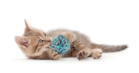 Photo for Kitten with ball of yarn isolated on white background. - Royalty Free Image