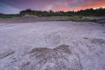 Photo for Desert soil in a dry lagoon, La Pampa province, Patagonia, Argentina. - Royalty Free Image