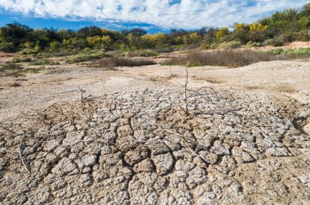 Broken dry soil in a Pampas lagoon, La Pampa province, Patagonia, Argentina. 