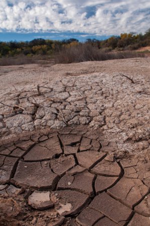 Téléchargez les photos : Sol sec brisé dans une lagune de Pampas, province de La Pampa, Patagonie, Argentine. - en image libre de droit