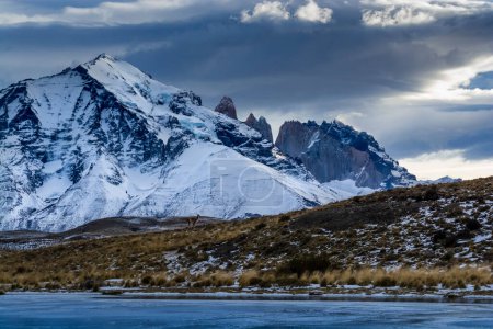 Photo for Mountain landscape environment, Torres del Paine National Park, Patagonia, Chile. - Royalty Free Image