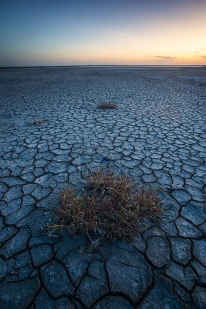 Foto de Suelo seco roto en una laguna pampeana, provincia de La Pampa, Patagonia, Argentina. - Imagen libre de derechos