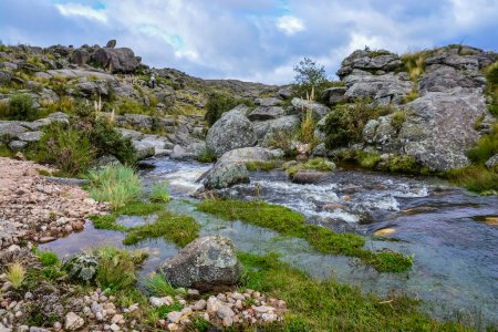 Foto de Quebrada del Condorito  National Park,Cordoba province, Argentina - Imagen libre de derechos