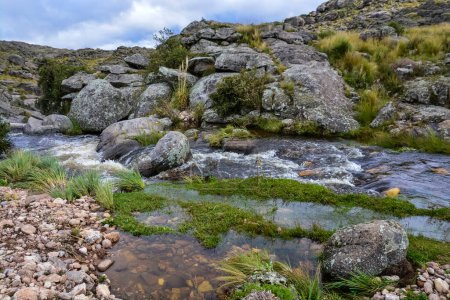 Photo for Quebrada del Condorito  National Park,Cordoba province, Argentina - Royalty Free Image
