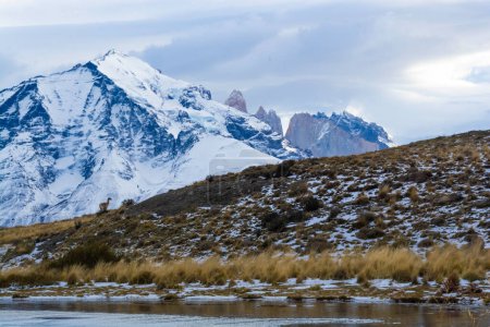 Mountain landscape environment, Torres del Paine National Park, Patagonia, Chile.
