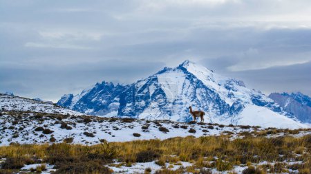 Foto de Paisaje de montaña, Parque Nacional Torres del Paine, Patagonia, Chile. - Imagen libre de derechos