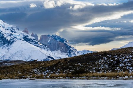 Photo for Mountain landscape environment, Torres del Paine National Park, Patagonia, Chile. - Royalty Free Image