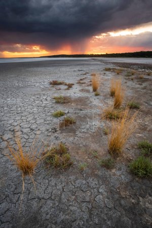 Foto de Cielo tormentoso en un paisaje seco, provincia de La Pampa, Patagonia, Argentina. - Imagen libre de derechos