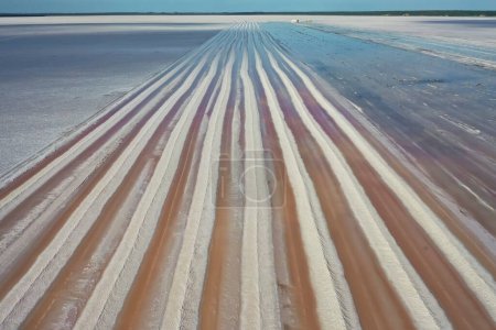 Téléchargez les photos : Récolte de sel dans la lagune salée, Salinas Grandes de Hidalgo, La Pampa, Patagonie, Argentine. - en image libre de droit