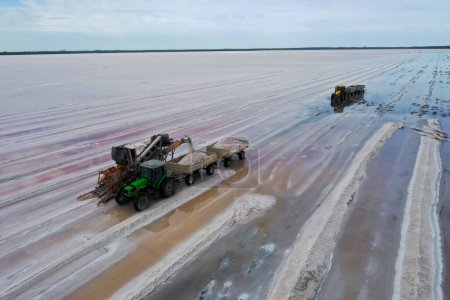 Photo for Salt harvest in salt lagoon mine, Salinas Grandes de Hidalgo, La Pampa, Patagonia,  Argentina. - Royalty Free Image