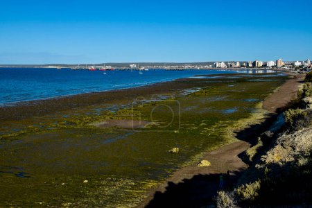 Téléchargez les photos : Puerto Madryn City, portail d'entrée de la réserve naturelle de la Péninsule Valdes, patrimoine mondial, Patagonie, Argentine. - en image libre de droit