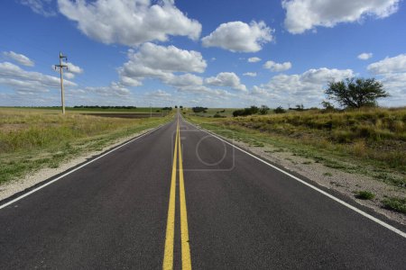 Téléchargez les photos : Route dans la plaine de Pampas, Province de La Pampa, Patagonie, Argenti - en image libre de droit