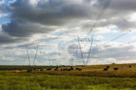 Téléchargez les photos : Lignes électriques à haute tension dans un paysage de pays - en image libre de droit