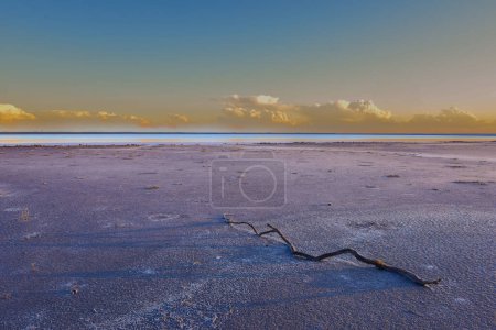 Foto de Paisaje del desierto, suelo seco roto en una laguna pampeana, provincia de La Pampa, Patagonia, Argentina. - Imagen libre de derechos
