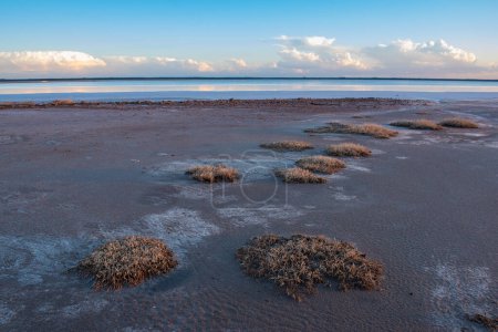 Desert landscape, broken dry soil in a Pampas lagoon, La Pampa province, Patagonia, Argentina.